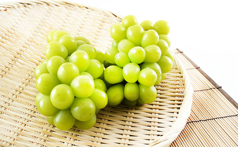 桃 ぶどう 2026年 先行予約 果物詰合せ 白桃 2玉 (1玉200g以上)  シャイン マスカット 晴王 2房 (合計約940g) 化粧箱入り 岡山県産 国産 フルーツ 果物 ギフト 