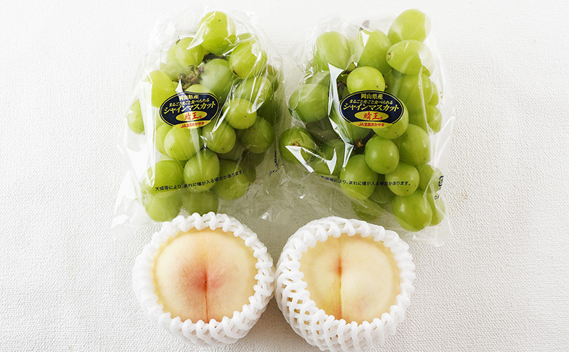 桃 ぶどう 2026年 先行予約 果物詰合せ 白桃 2玉 (1玉200g以上)  シャイン マスカット 晴王 2房 (合計約940g) 化粧箱入り 岡山県産 国産 フルーツ 果物 ギフト 