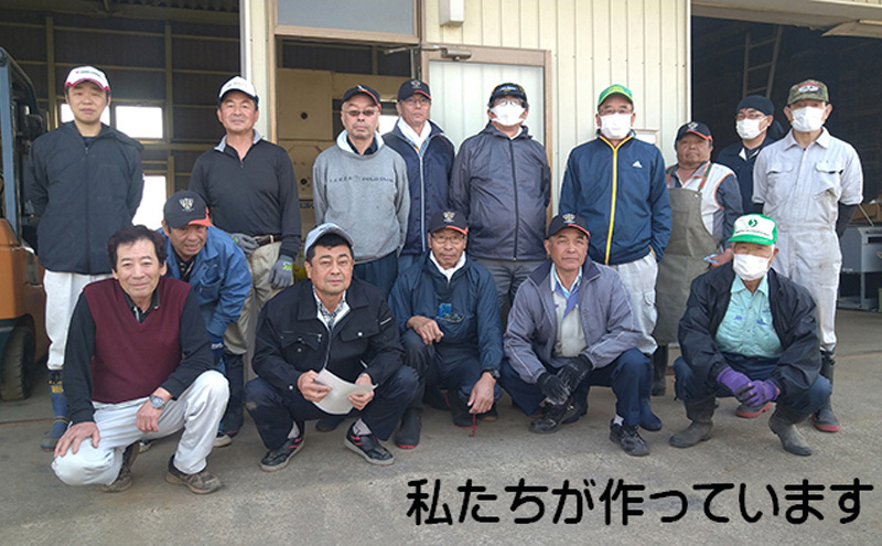 宮城県岩沼市のふるさと納税 【10月受付再開予定/令和7年産新米】玄米 金のいぶき 5kg 志賀沢米 岩沼産 お米 ブランド米 単一原料米 5キロ こめ コメ おこめ ご飯 ライス 玄米ごはん 玄米ご飯 きんのいぶき 金のいぶき玄米 東北 宮城県産 宮城米 宮城 宮城県 岩沼市