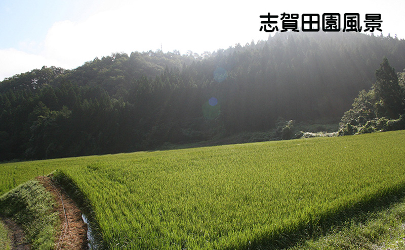 宮城県岩沼市のふるさと納税 【10月受付再開予定/令和7年産新米】玄米 金のいぶき 5kg 志賀沢米 岩沼産 お米 ブランド米 単一原料米 5キロ こめ コメ おこめ ご飯 ライス 玄米ごはん 玄米ご飯 きんのいぶき 金のいぶき玄米 東北 宮城県産 宮城米 宮城 宮城県 岩沼市