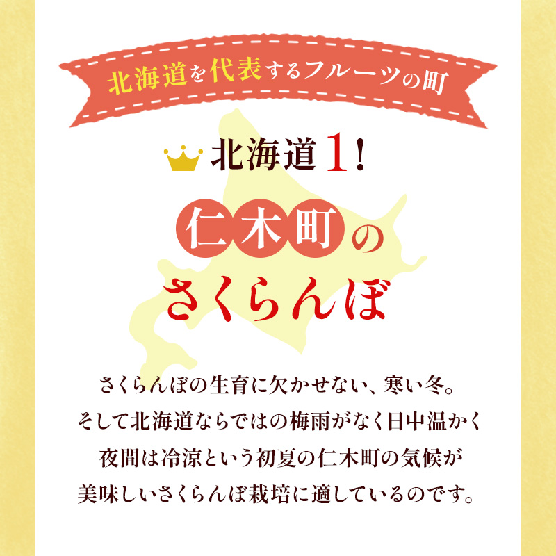 先行受付 北海道 仁木町産 さくらんぼ 佐藤錦 1kg（500g×2）Lサイズ以上 ジューシー 旬のフルーツ 旬の果物 国産 日本産 サクランボ チェリー フルーツ 果物 果物類 ギフト 仁木町 [ジャパーナプランニング株式会社]