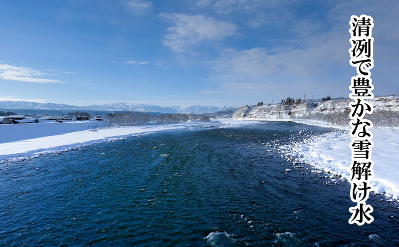 【厳選☆十日町育ち】“有機栽培米” 魚沼産コシヒカリ 5kg お米 