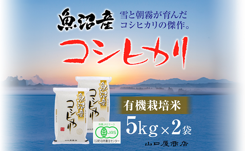 ふるさと納税 服 新潟県 十日町市 0330世界で唯一 着る山菜 ビッグシルエット みょうがパーカー メルロー　XLサイズ XLサイズ 世界で唯一!着る山菜!!【ビッグシルエット みょうがパーカー