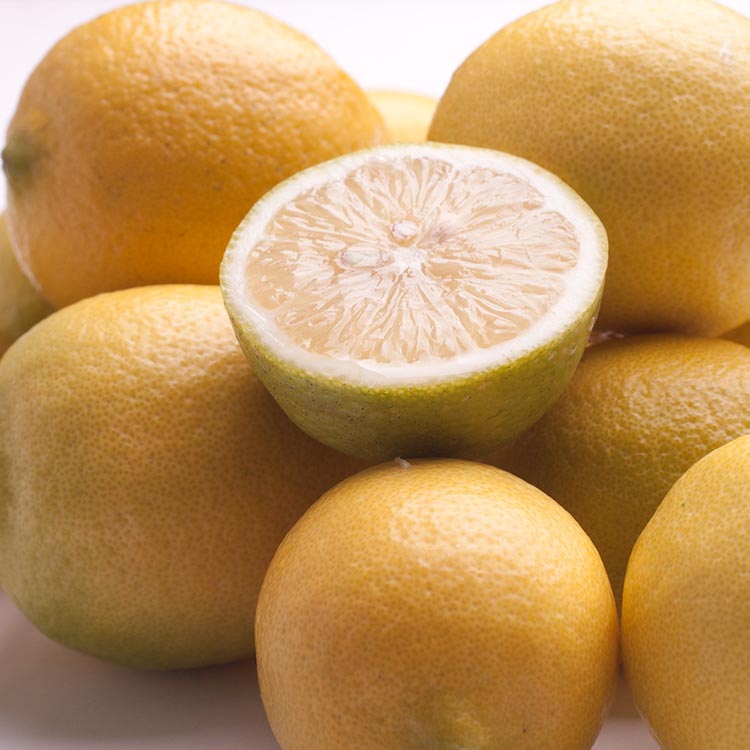 ＜9月より発送＞レモン1kg+250g（傷み補償分）【和歌山有田産】【防腐剤・WAX不使用、安心の国産レモン】 ※北海道・沖縄・離島への配送不可 ※2025年9月中旬～2026年4月下旬頃に順次発送予定