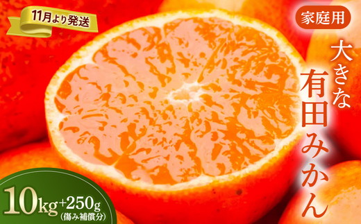 家庭用 大きな有田みかん10kg+250g（傷み補償分）【わけあり・訳あり】【光センサー選果】 ※北海道・沖縄・離島への配送不可 ※2025年11月上旬～2026年1月下旬頃に順次発送予定