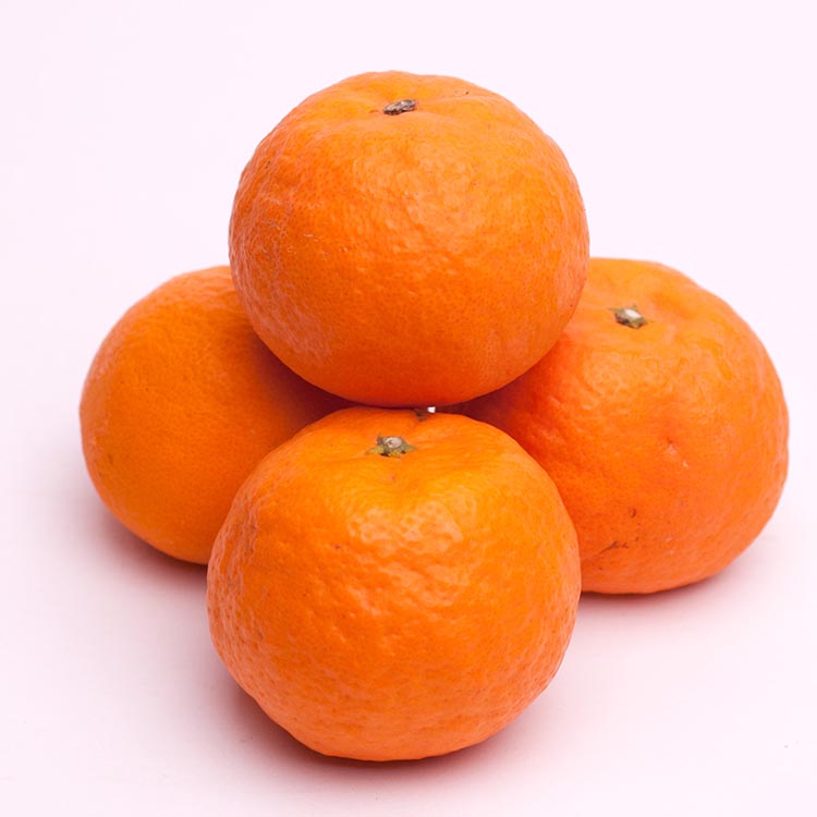 ＜4月より発送＞厳選 カラマンダリン5kg+250g（傷み補償分）◇【南津海・なつみ】【希少な春柑橘】【みかんと同じように食べられます】 ※北海道・沖縄・離島への配送不可 ※2026年4月上旬～5月下旬頃に順次発送予定