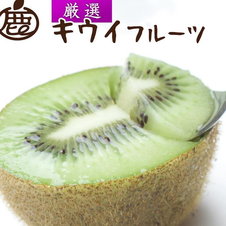 【和歌山県美浜町】<2025年11月より発送>厳選 キウイフルーツ5kg+250g(傷み補償分)◇ ※北海道・沖縄・離島への配送不可 ※2025年11月中旬〜2026年4月下旬頃に順次発送予定