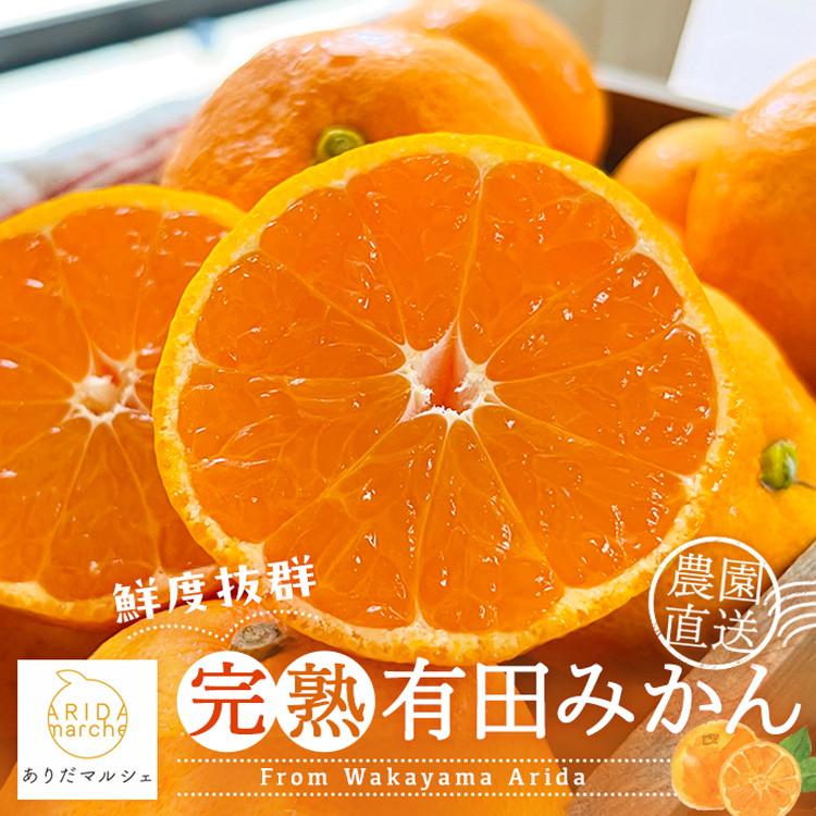 【先行受付 2025年11月～発送】農園直送!完熟有田みかん 1.3kg(1.1kg+200g(傷み補償分)) ※北海道・沖縄・離島への配送不可 ※2025年11月上旬～12月下旬頃より順次発送予定