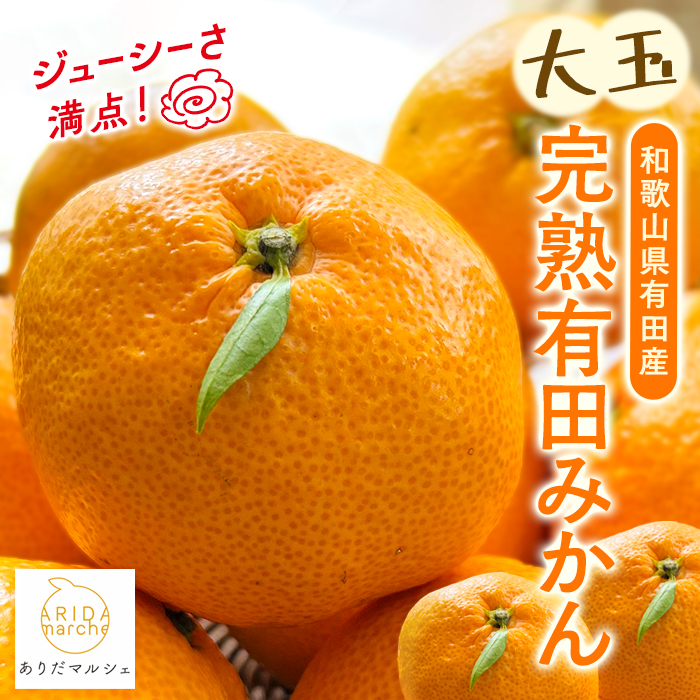【和歌山県美浜町】【2025年11月中旬?発送】【果汁たっぷり】迫力満点! 大粒 有田みかん 4.7kg ※北海道・沖縄・離島への配送不可 ※2025年11月中旬〜2026年1月中旬頃に順次発送予定