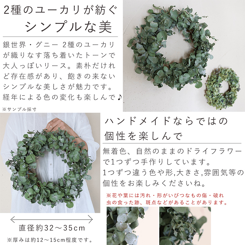 富良野 花七曜 ユーカリのリース◇ ドライフラワーリース 植物
