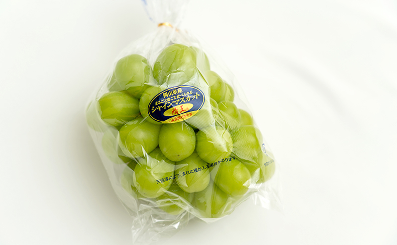 ぶどう 2026年 先行予約 3回お届け！  晴れの国 岡山の シャイン マスカット  晴王 ×3回！（各1房） 葡萄  岡山県産 国産 フルーツ ギフト 1房600g以上 大粒 種なし 甘みが強い 皮ごと食べられる 