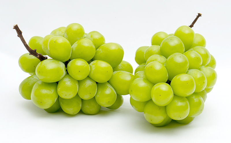 ぶどう 定期便 2026年 先行予約 シャイン マスカット 晴王 各月2房（1房600g以上） 3回コース マスカット ブドウ 葡萄  岡山県産 国産 フルーツ 果物 ギフト 大粒 高級 甘い 弾力 