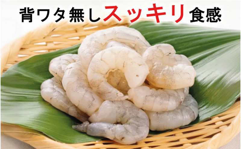 越前若狭食宝庫の高級むきえび【ホワイトバナメイエビ冷凍】800g /約90～100尾x3 海老 