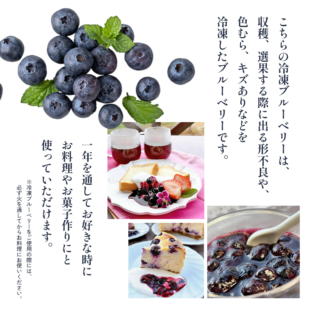 ブルーベリー Lucaho Farm 1kg 香川県産 冷凍ブルーベリー1kg 冷凍ブルーベリー フルーツ 果物 くだもの 旬のフルーツ 旬の果物 冷凍 香川 香川県 東かがわ市