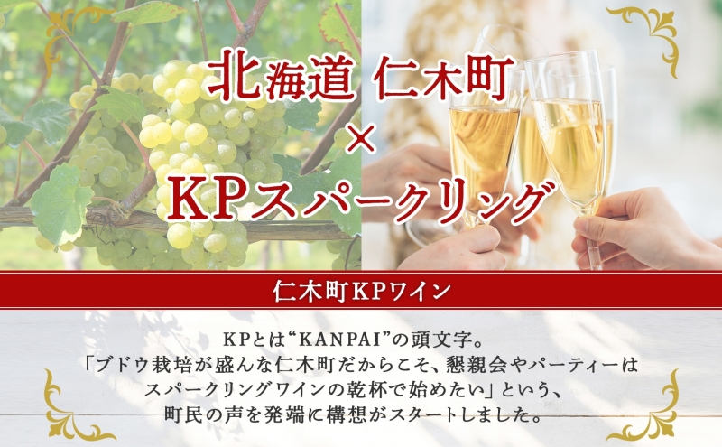 北海道産 スパークリング ワイン 750ml 2本 KPワイン Tテロワール ぶどう ナイアガラ 葡萄 ブドウ 白ワイン 辛口 酒 お酒 贈答 贈り物 お祝い ギフト 記念日 送料無料 