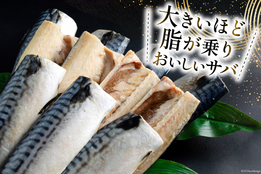 宮城県気仙沼市のふるさと納税 訳あり 塩サバ フィレ 3kg [足利本店 宮城県 気仙沼市 20564146] 魚介類 魚 海鮮 大容量 サバ さば 鯖 サバフィレ サバフィーレ 鯖フィレ トロサバ 訳アリ 訳あり わけあり 切り身 冷凍