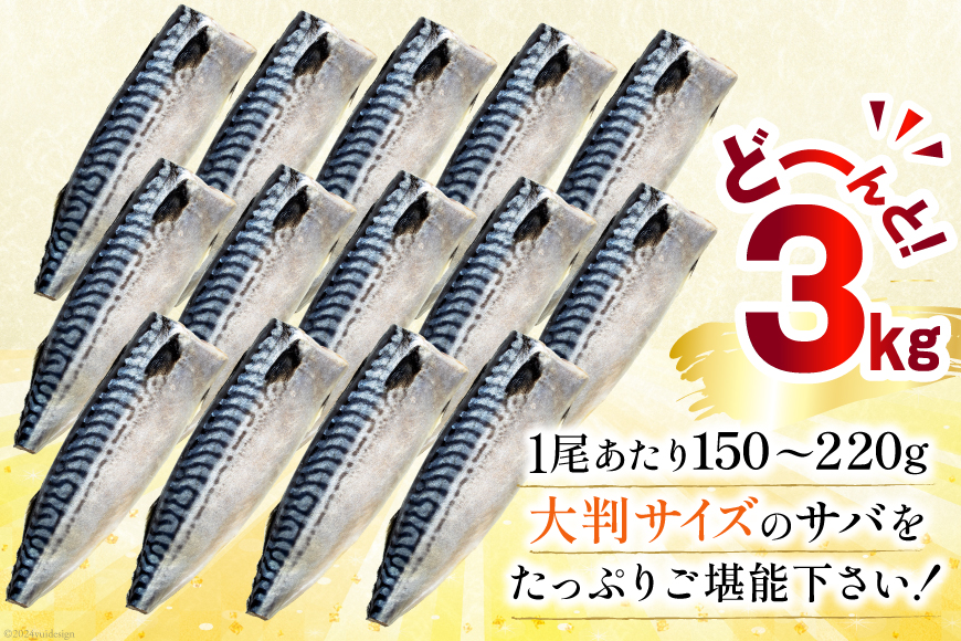宮城県気仙沼市のふるさと納税 訳あり 塩サバ フィレ 3kg [足利本店 宮城県 気仙沼市 20564146] 魚介類 魚 海鮮 大容量 サバ さば 鯖 サバフィレ サバフィーレ 鯖フィレ トロサバ 訳アリ 訳あり わけあり 切り身 冷凍