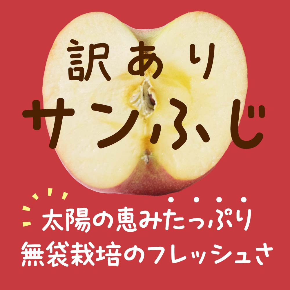 山形県南陽市のふるさと納税 【令和7年産先行予約】 〈訳あり品 家庭用〉 りんご 「サンふじ」 約10kg バラ詰め 《令和7年12月上旬～令和8年2月下旬発送》 『カネタ高橋青果』 リンゴ 山形県 南陽市 [1959]
