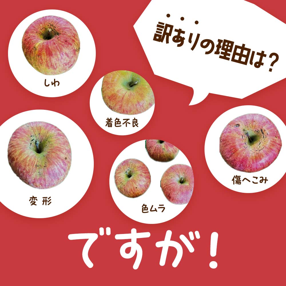 山形県南陽市のふるさと納税 【令和7年産先行予約】 〈訳あり品 家庭用〉 りんご 「サンふじ」 約10kg バラ詰め 《令和7年12月上旬～令和8年2月下旬発送》 『カネタ高橋青果』 リンゴ 山形県 南陽市 [1959]
