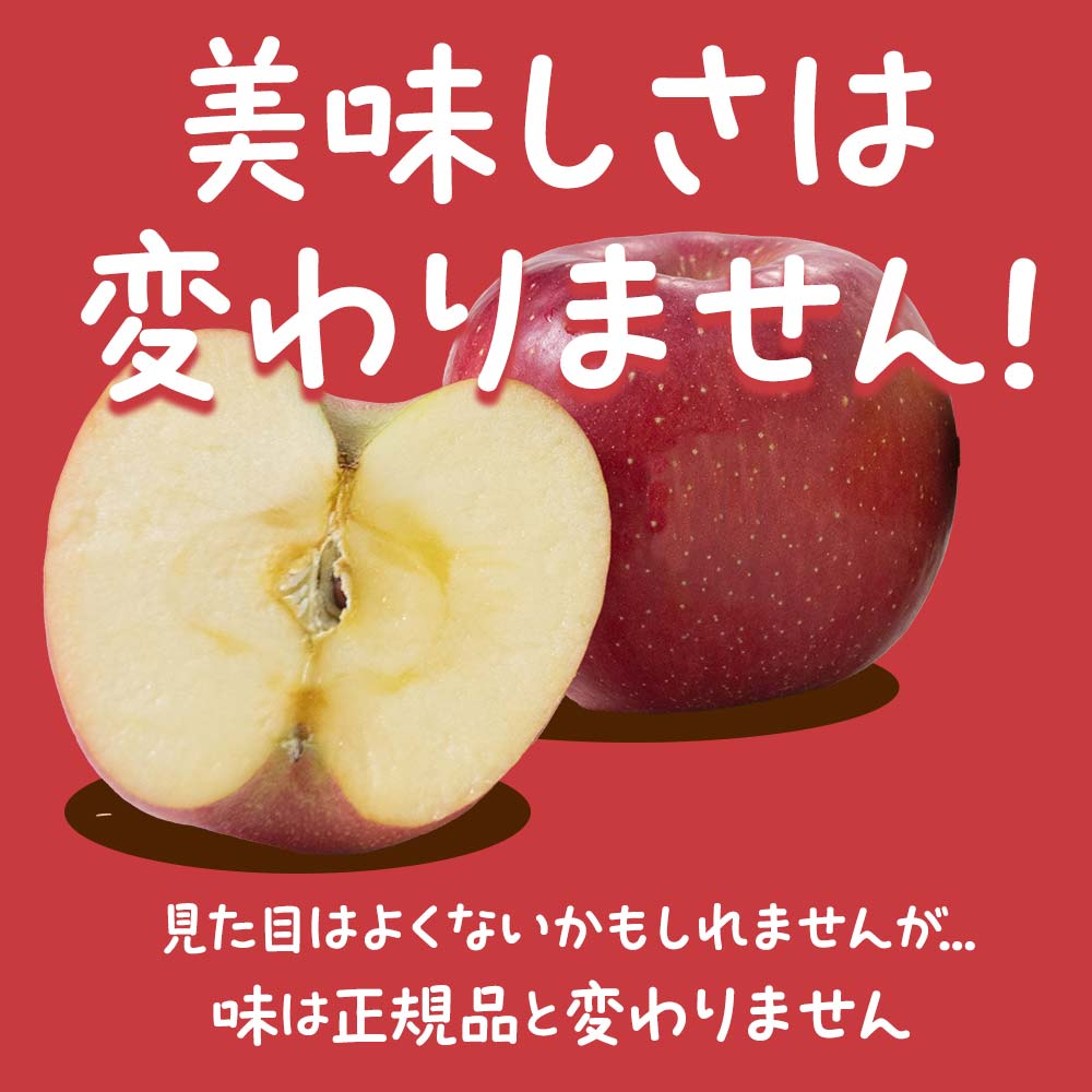 山形県南陽市のふるさと納税 【令和7年産先行予約】 〈訳あり品 家庭用〉 りんご 「サンふじ」 約10kg バラ詰め 《令和7年12月上旬～令和8年2月下旬発送》 『カネタ高橋青果』 リンゴ 山形県 南陽市 [1959]