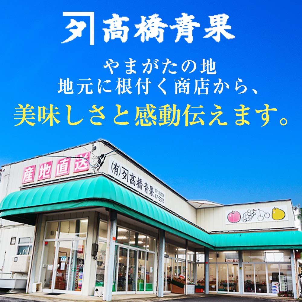 山形県南陽市のふるさと納税 【令和7年産先行予約】 〈訳あり品 家庭用〉 りんご 「サンふじ」 約10kg バラ詰め 《令和7年12月上旬～令和8年2月下旬発送》 『カネタ高橋青果』 リンゴ 山形県 南陽市 [1959]