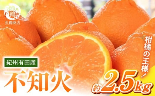 和歌山県湯浅町のふるさと納税 G7108_【2026年先行予約】紀州有田産 不知火 (しらぬひ) 2.5kg