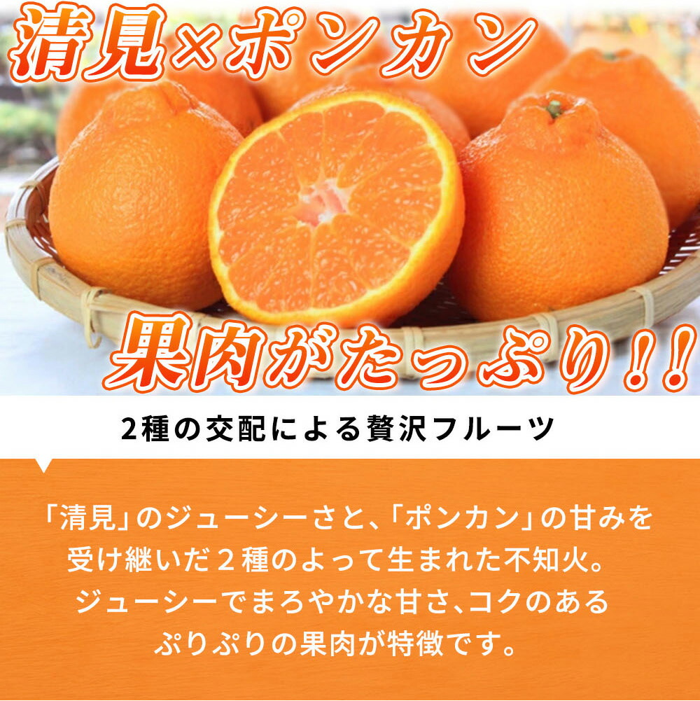 和歌山県湯浅町のふるさと納税 G7108_【2026年先行予約】紀州有田産 不知火 (しらぬひ) 2.5kg