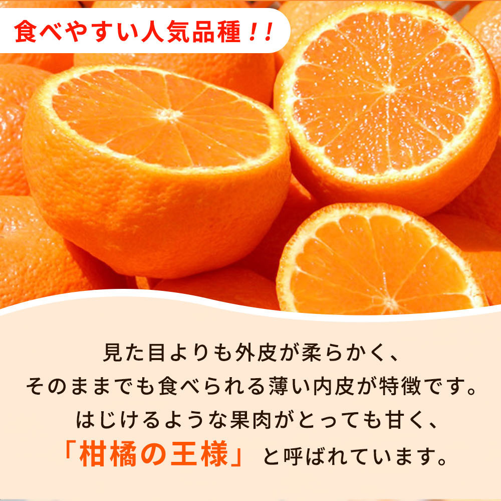和歌山県湯浅町のふるさと納税 G7108_【2026年先行予約】紀州有田産 不知火 (しらぬひ) 2.5kg