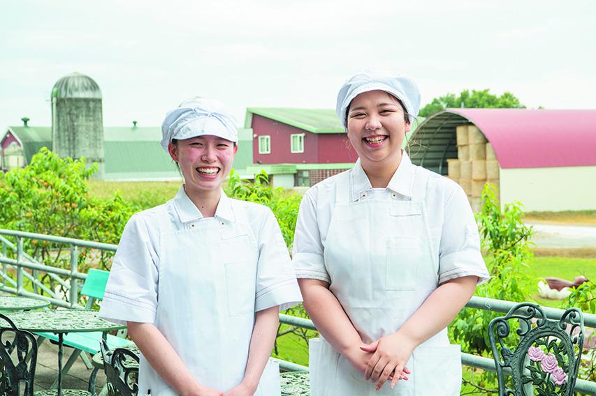北海道池田町のふるさと納税 北海道　牧場の生ソフトクリーム10個　アイスクリーム　詰合せ