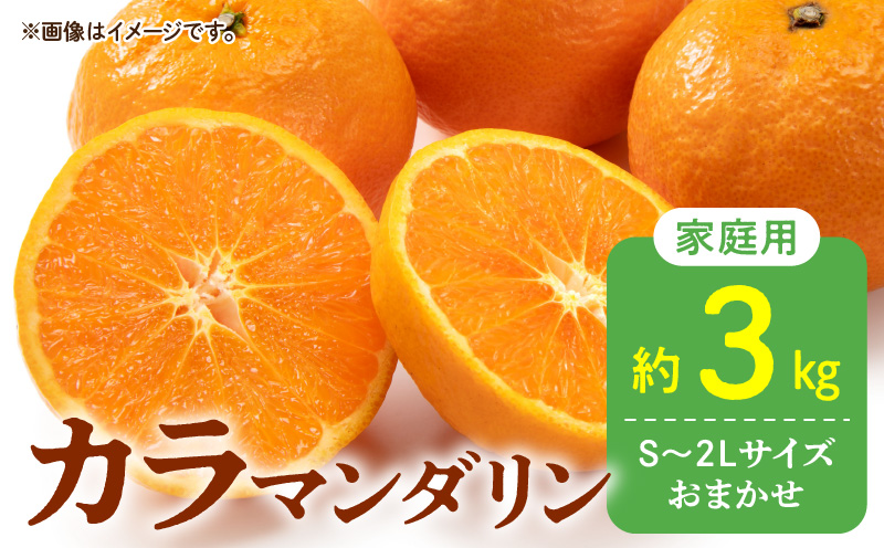 DZ6213_【2026年先行予約】秀品 カラマンダリン なつみ 和歌山 有田 秀品 S～2Lサイズ 大きさお任せ 約3kg