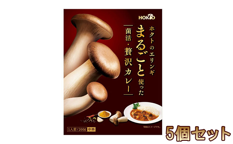 ホクトのエリンギまるごと使った菌活・贅沢カレー 5個セット 