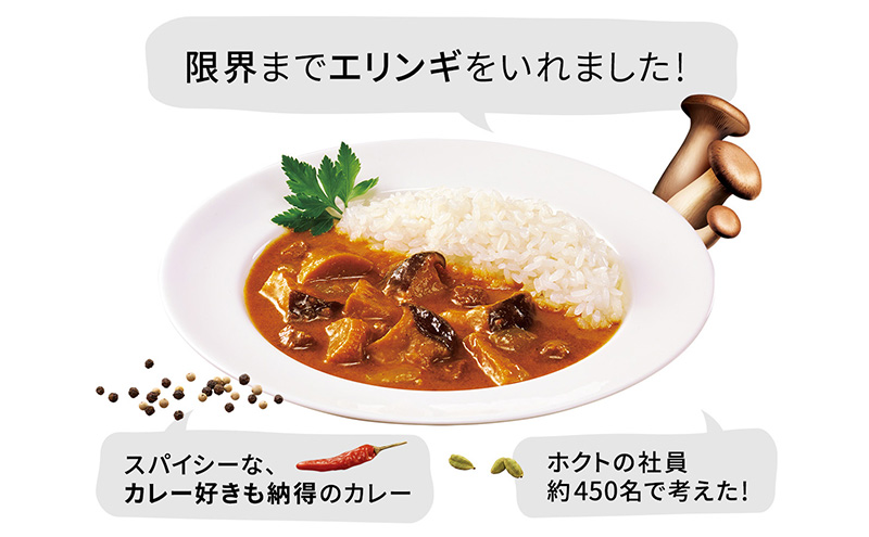 ホクトのエリンギまるごと使った菌活・贅沢カレー 5個セット 