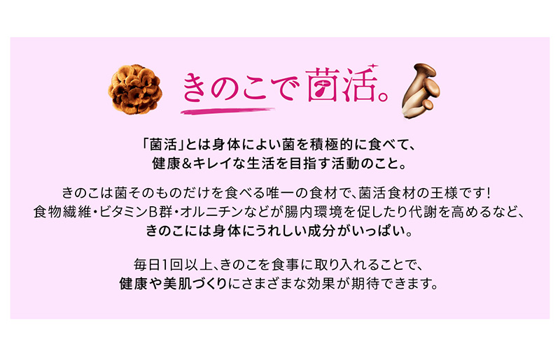ホクトのエリンギまるごと使った菌活・贅沢カレー 5個セット 
