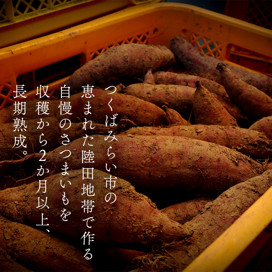 茨城県つくばみらい市のふるさと納税 【贈答用・ギフト】干し芋 寒干し "極" 100g×6パック ほしいも いも 芋 さつまいも さつま芋 お菓子 おやつ スイーツ 甘い 庄七農園 紅はるか 干しいも 茨城 茨城県 小分け  [BK08-NT]