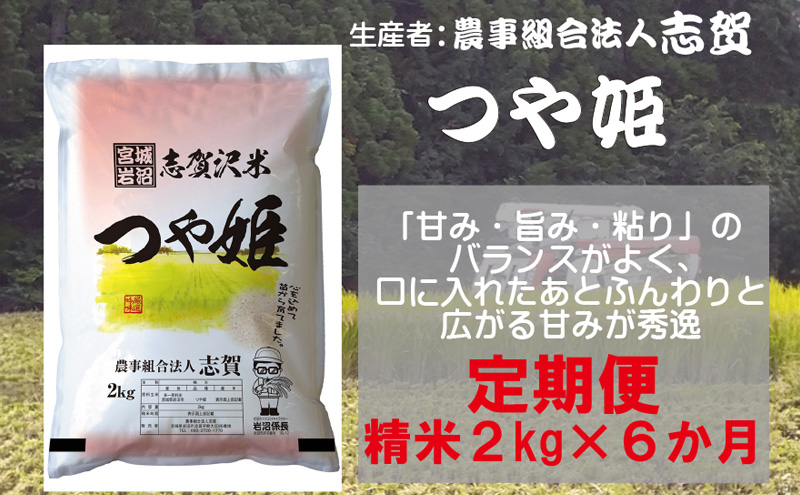 【10月受付再開予定/令和7年産新米】米 定期便 6ヶ月 つや姫 2kg 志賀沢米 岩沼産 お米 白米 精米 ブランド米 単一原料米 2キロ こめ コメ おこめ ご飯 ライス つやひめ 宮城県産つや姫 東北 宮城県産 宮城県 岩沼市