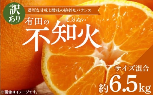 ZD6384n_【2026年先行予約】【濃厚】有田の不知火 (デコポン) 【訳あり 家庭用】 6.5kg (サイズ混合)