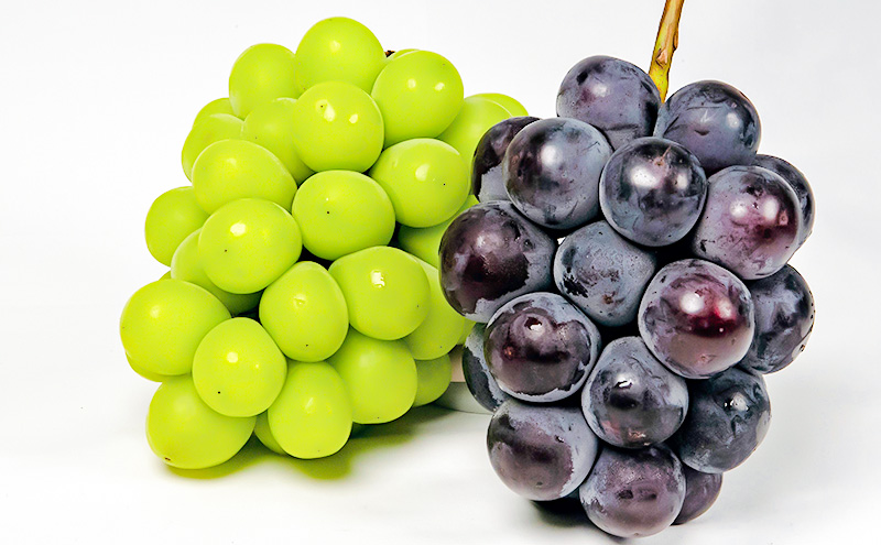 ぶどう 2026年 先行予約 果物 詰合せ ニュー ピオーネ 1房480g以上 シャイン マスカット 晴王 1房 480g以上 化粧箱入り  岡山県産 国産 フルーツ 果物 ギフト 贈答品 フルーツ詰め合わせ 食べ比べ 