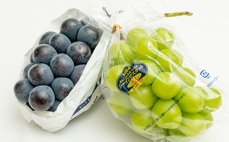 ぶどう 2026年 先行予約 果物 詰合せ ニュー ピオーネ 1房480g以上 シャイン マスカット 晴王 1房 480g以上 化粧箱入り  岡山県産 国産 フルーツ 果物 ギフト 贈答品 フルーツ詰め合わせ 食べ比べ 