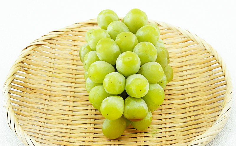 ぶどう 2026年 先行予約 マスカット・オブ・アレキサンドリア 1房 700g以上 化粧箱入り マスカット 岡山県産 国産 フルーツ 果物 ギフト 食後 デザート 上品な香り 果物の女王 さっぱり 爽やか 