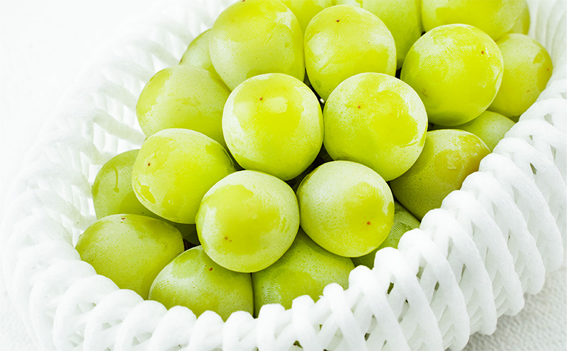 ぶどう 2026年 先行予約 マスカット・オブ・アレキサンドリア 1房 700g以上 化粧箱入り マスカット 岡山県産 国産 フルーツ 果物 ギフト 食後 デザート 上品な香り 果物の女王 さっぱり 爽やか 