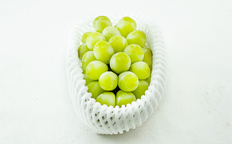 ぶどう 2026年 先行予約 マスカット・オブ・アレキサンドリア 1房 700g以上 化粧箱入り マスカット 岡山県産 国産 フルーツ 果物 ギフト 食後 デザート 上品な香り 果物の女王 さっぱり 爽やか 