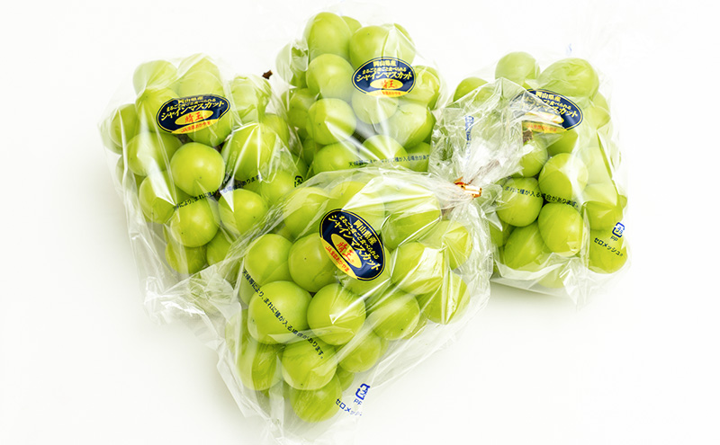 ぶどう 2026年 先行予約 シャイン マスカット 晴王 4房（1房480g以上）約2kg マスカット 岡山県産 国産 フルーツ 果物 ギフト 上品な香り 高級ぶどう 高級シャインマスカット 大粒 種なし 皮ごと 