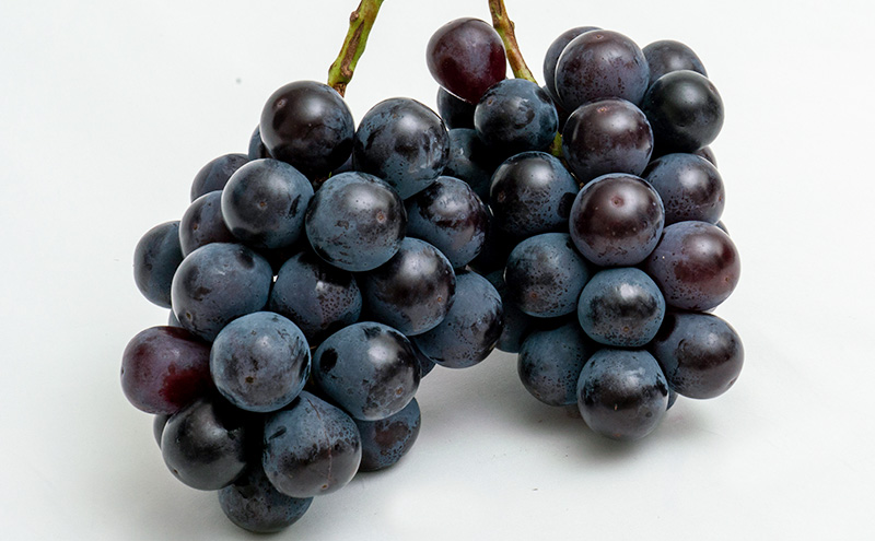 桃 ぶどう 2026年 先行予約 果物 詰合せ 白桃 2玉（1玉220g以上）ニューピオーネ 2房（1房480g以上）化粧箱入り もも 葡萄 岡山県産 国産 フルーツ 果物 ギフト 上品な甘み とろける 強い甘み 酸味 