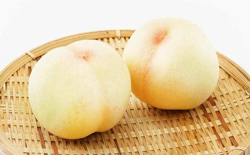 桃 ぶどう 2026年 先行予約 果物 詰合せ 白桃 2玉（1玉220g以上）ニューピオーネ 2房（1房480g以上）化粧箱入り もも 葡萄 岡山県産 国産 フルーツ 果物 ギフト 上品な甘み とろける 強い甘み 酸味 