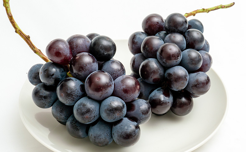 桃 ぶどう 2026年 先行予約 果物 詰合せ 白桃 2玉（1玉220g以上）ニューピオーネ 2房（1房480g以上）化粧箱入り もも 葡萄 岡山県産 国産 フルーツ 果物 ギフト 上品な甘み とろける 強い甘み 酸味 