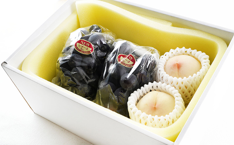 桃 ぶどう 2026年 先行予約 果物 詰合せ 白桃 2玉（1玉220g以上）ニューピオーネ 2房（1房480g以上）化粧箱入り もも 葡萄 岡山県産 国産 フルーツ 果物 ギフト 上品な甘み とろける 強い甘み 酸味 