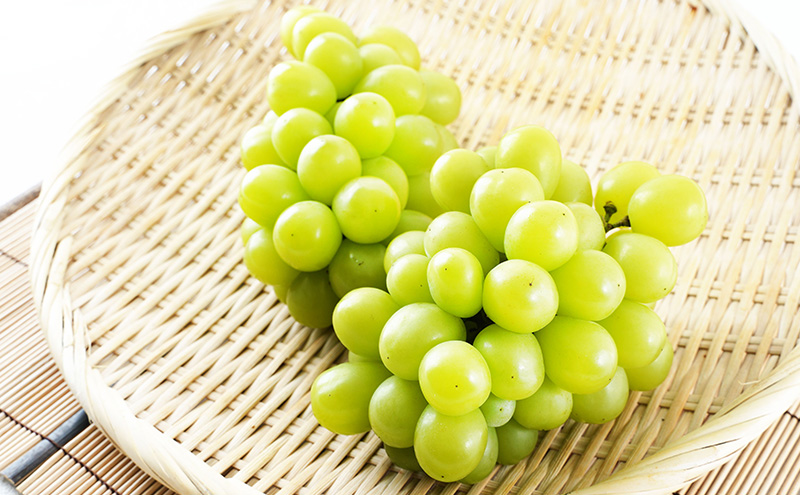 桃 ぶどう 2026年 先行予約 果物 詰合せ 白桃 2玉（1玉220g以上）シャインマスカット 晴王 2房（1房480g以上）化粧箱入り 岡山県産 国産 フルーツ ギフト フルーツ詰め合わせ 贈答品 セット 