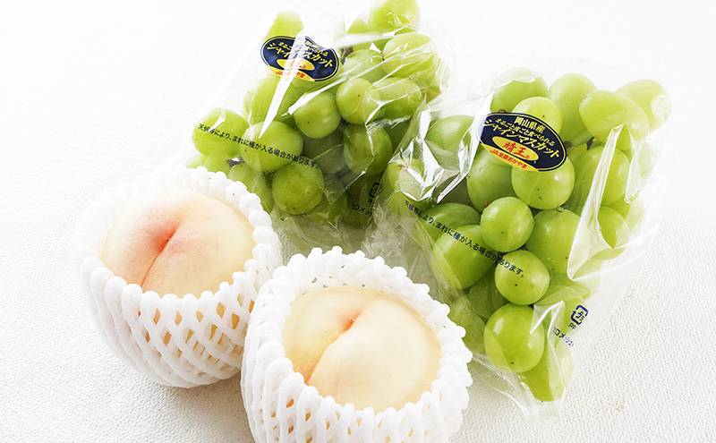 桃 ぶどう 2026年 先行予約 果物 詰合せ 白桃 2玉（1玉220g以上）シャインマスカット 晴王 2房（1房480g以上）化粧箱入り 岡山県産 国産 フルーツ ギフト フルーツ詰め合わせ 贈答品 セット 