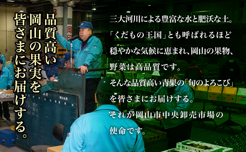 ぶどう 2026年 先行予約 ニュー ピオーネ 2房（1房480g以上）約1kg 化粧箱入り ブドウ 葡萄 岡山県産 国産 フルーツ 果物 ギフト 