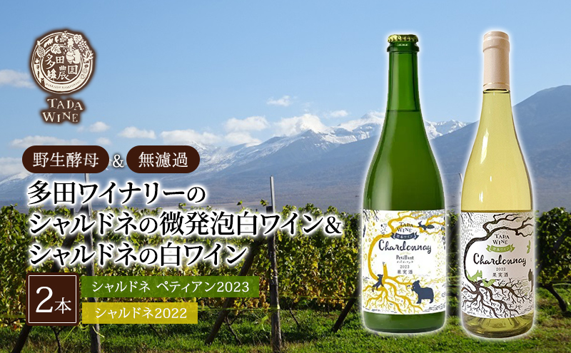 ◇定期便(全12回)◇SORACHI 1984≪ソラチ1984≫1箱（350ml×12缶） 吉澤